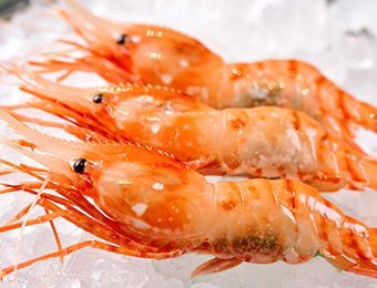 Botan Shrimp (sashimi/grilled)