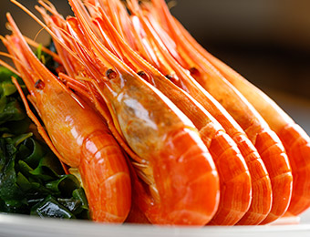 Boiled Hokkai Shima Shrimp (10 pcs)