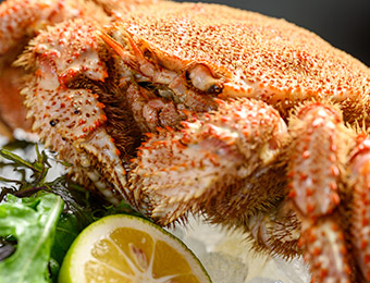 Boiled Hair Crab (approx. 500g, 1 pc)