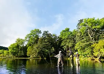 图像: Fishing