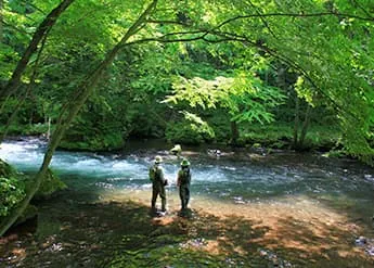 Photo: Fishing