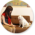 愛犬とご宿泊