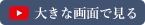 大きな画面で見る