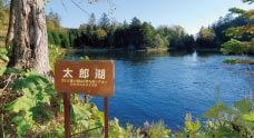 釧路市丹頂鶴自然公園