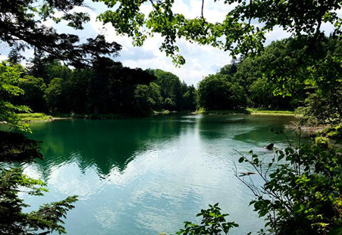 Secluded Lake Trek