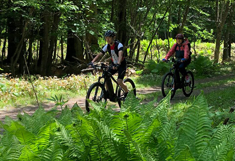 E-MTB林道ヒルクライム＆ダウンヒル