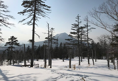 山峰 雪地健步